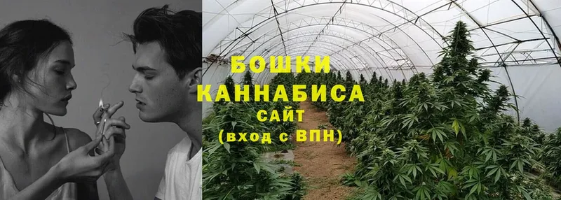 Шишки марихуана Bruce Banner  наркота  Лебедянь 